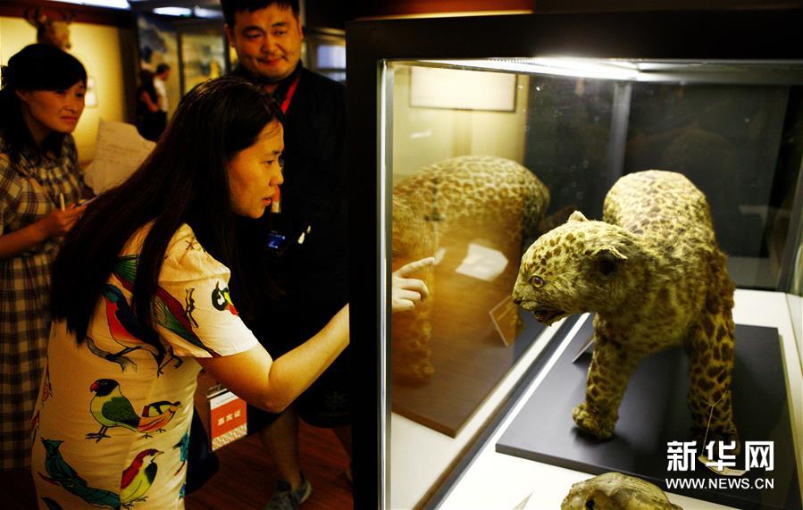 （文化）（1）三館聯(lián)袂 上海博物溯源特展開(kāi)幕