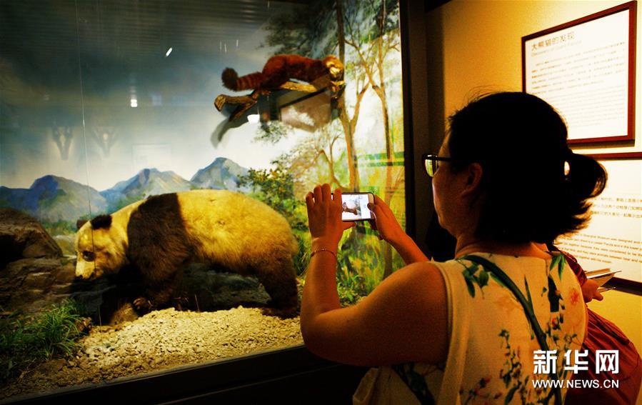 （文化）（2）三館聯(lián)袂 上海博物溯源特展開(kāi)幕