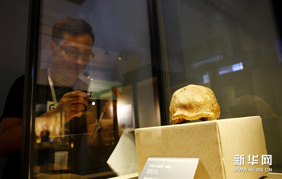 （文化）（5）三館聯(lián)袂 上海博物溯源特展開(kāi)幕