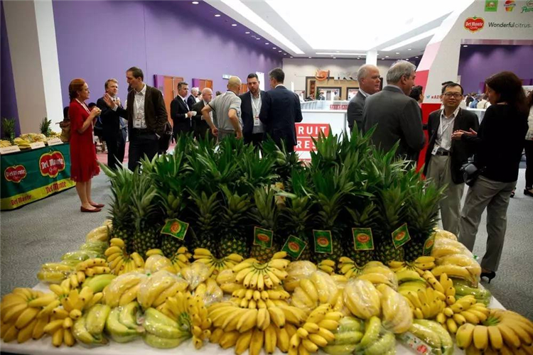 三大前提告訴你，2018年日本果蔬展有多重要！