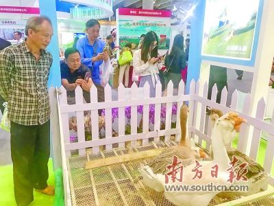 點擊進入下一頁